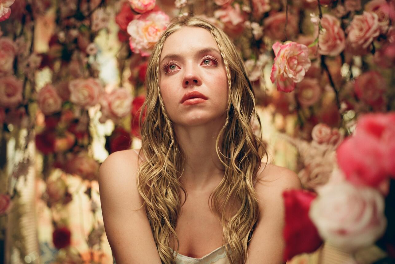 The cast of the series Euphoria - main cast and roles in the famous show