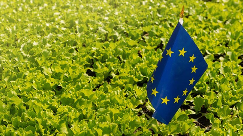Die EU könnte die Importgebühren für Produkte aus der Ukraine erhöhen: FT hat Einzelheiten erfahren
