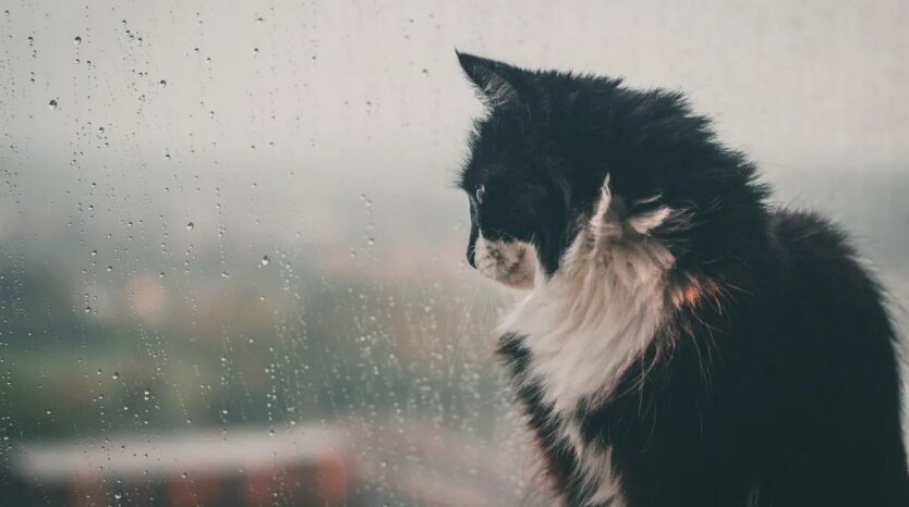 Weather conditions in Ukraine: cold weather and rain