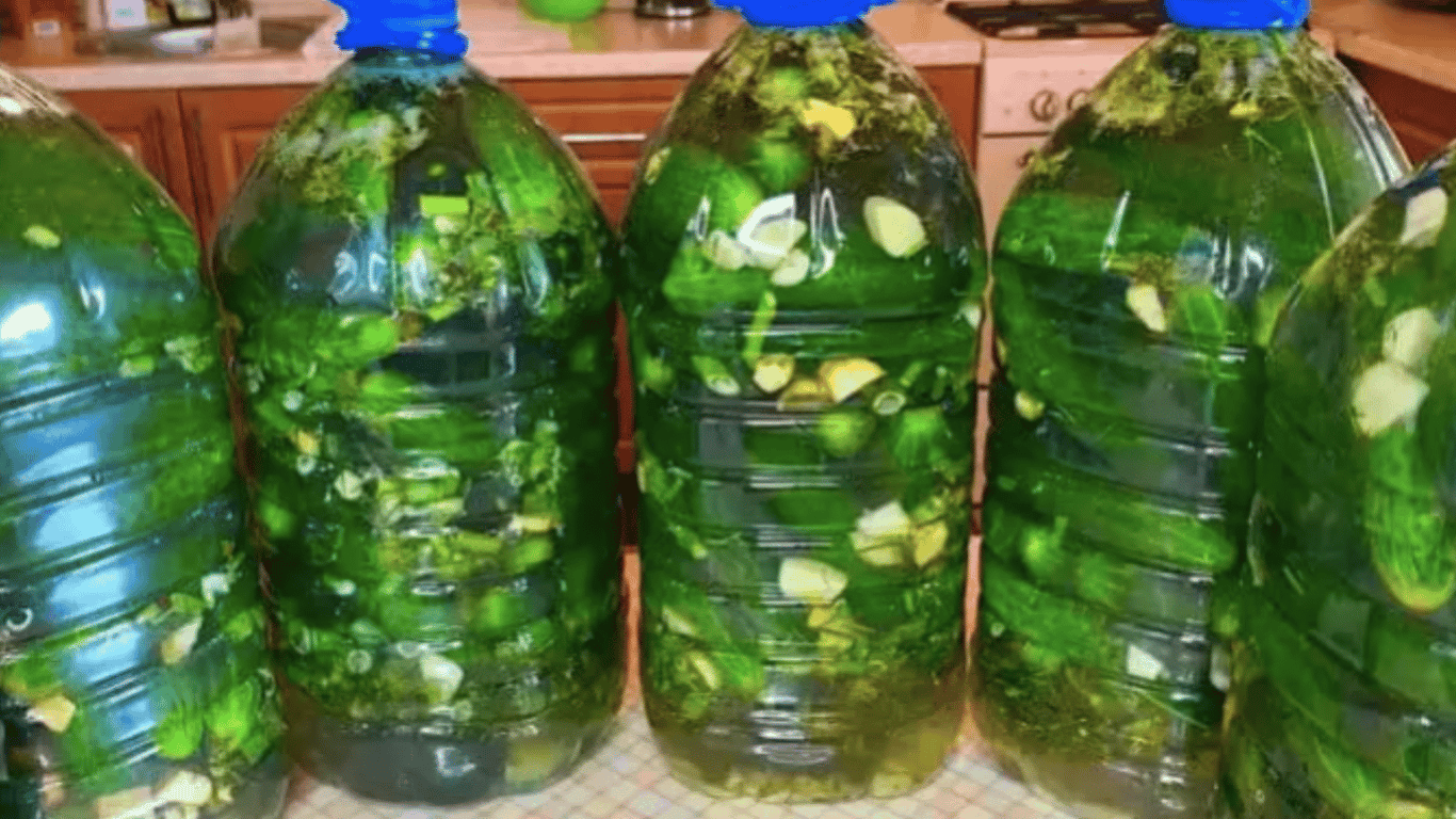 Richtige eingelegte Gurken ohne Fass – 5 l Flasche benötigt