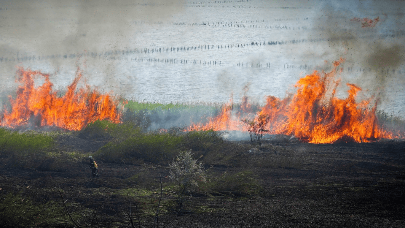 Fire may flare up instantly — fire danger in Odesa region