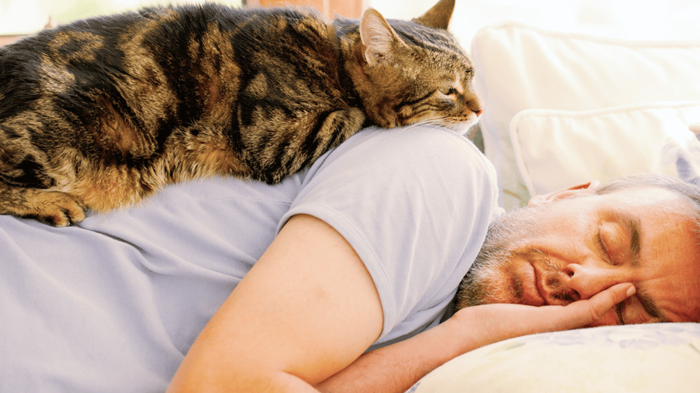 Do cats sense their owner's illness — an interesting fact